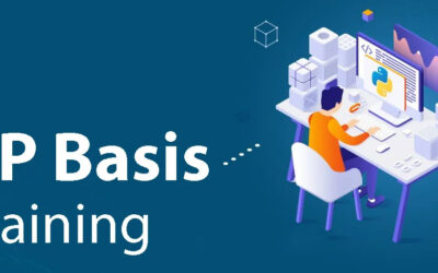 What Are the Benefits of SAP Basis?