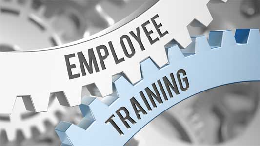 Employee training and development by thought process 