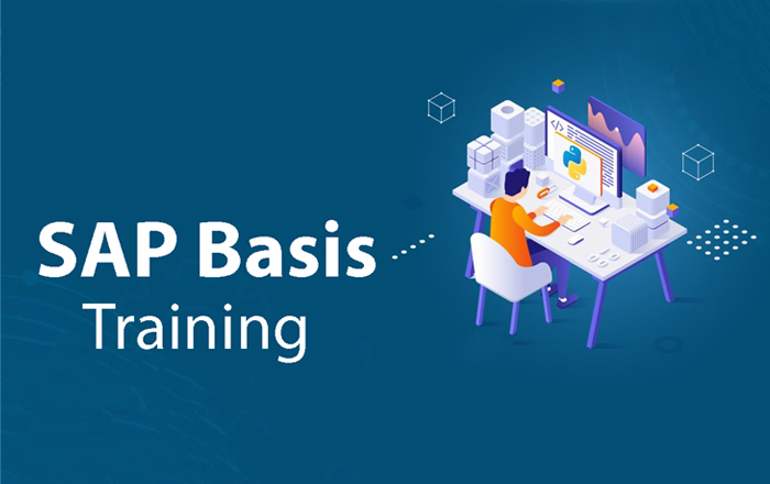 SAP BASIS Training for Corporate Employees