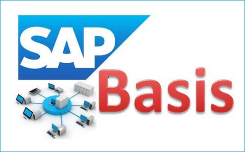 SAP BASIS training